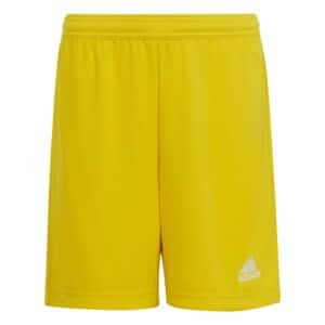Adidas Entrada 22 Shorts - Image 9