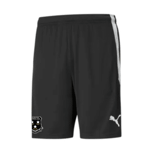 FJFC FC Coaches Shorts