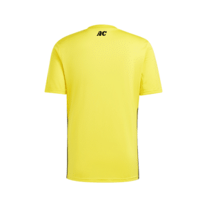 Alternative view of AFC Penwortham The OddBalls Foundation Charity Shirt