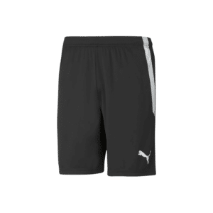 PUMA TeamLIGA Shorts - Image 5