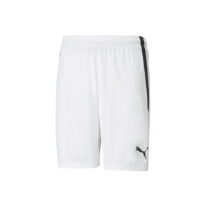 PUMA TeamLIGA Shorts - Image 6