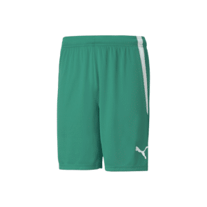 PUMA TeamLIGA Shorts - Image 7