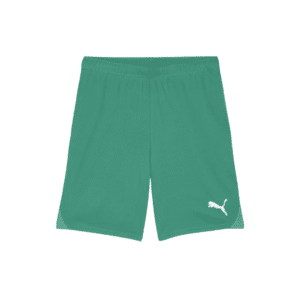 PUMA teamGOAL Shorts - Image 6