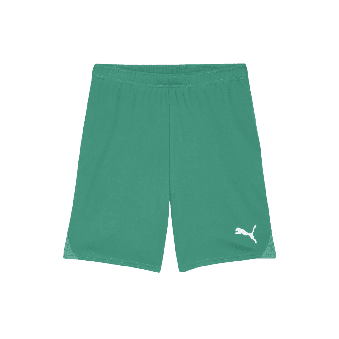 PUMA teamGOAL Shorts - Image 6