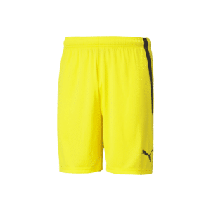 PUMA TeamLIGA Shorts - Image 8