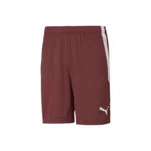 PUMA TeamLIGA Shorts - Image 9