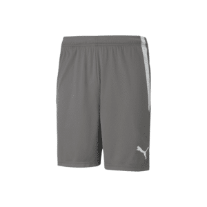 PUMA TeamLIGA Shorts - Image 10