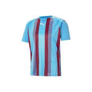 Team LIGAStriped Jersey - Image 5
