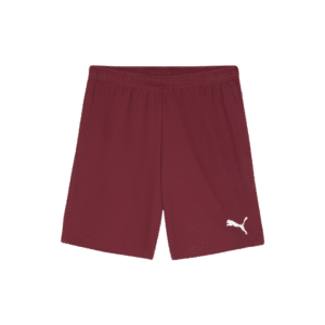 PUMA teamGOAL Shorts - Image 9