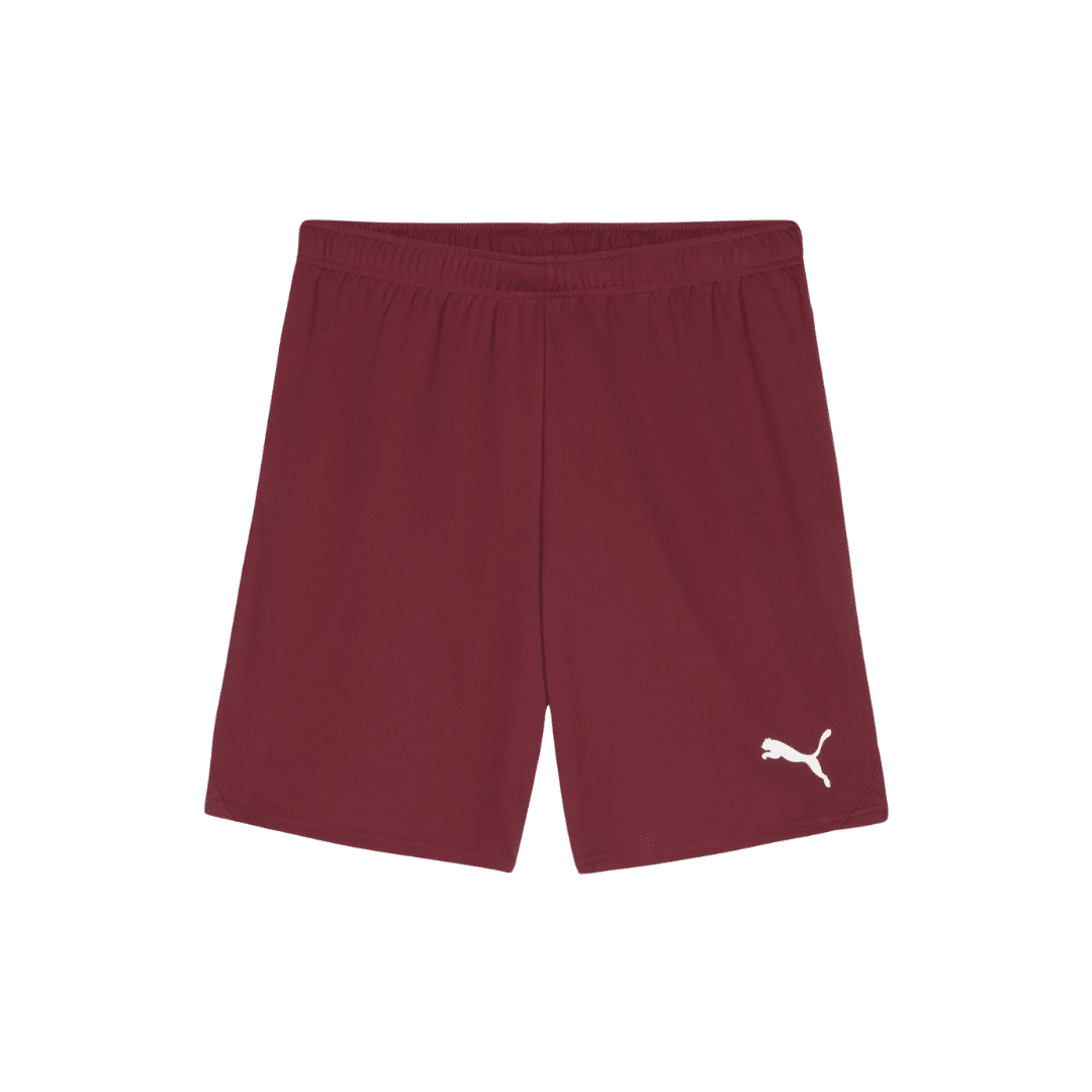 PUMA teamGOAL Shorts - Image 9