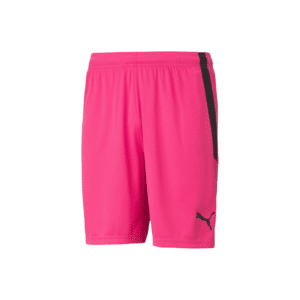 PUMA TeamLIGA Shorts - Image 11