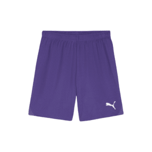PUMA teamGOAL Shorts - Image 10