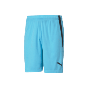 PUMA TeamLIGA Shorts - Image 12