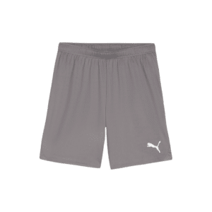 PUMA teamGOAL Shorts - Image 11