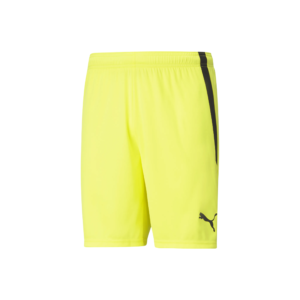 PUMA TeamLIGA Shorts - Image 13