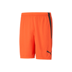 PUMA TeamLIGA Shorts - Image 14