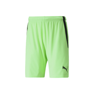 PUMA TeamLIGA Shorts - Image 15