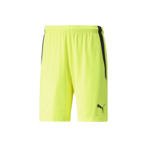 PUMA TeamLIGA Shorts - Image 16