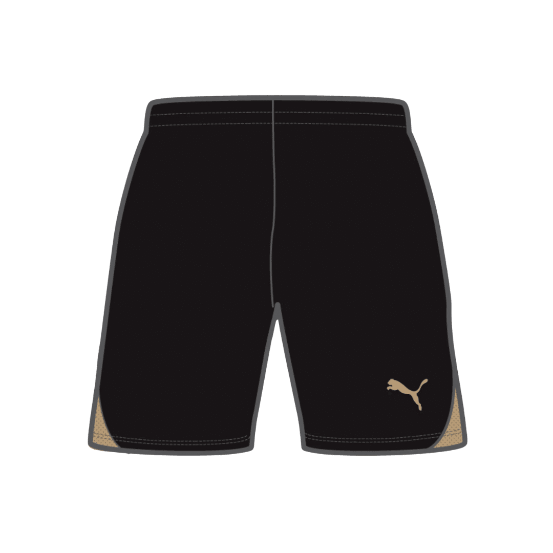 PUMA teamGOAL Shorts - Image 15
