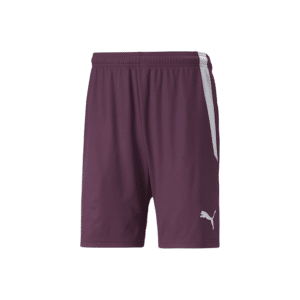 PUMA TeamLIGA Shorts - Image 17