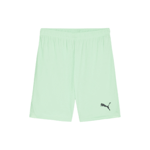 PUMA teamGOAL Shorts - Image 16