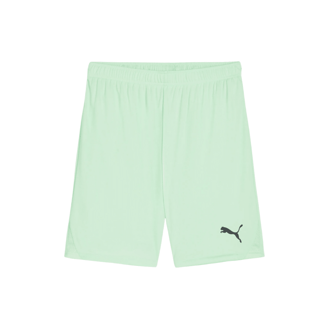 PUMA teamGOAL Shorts - Image 16