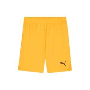 PUMA teamGOAL Shorts - Image 17