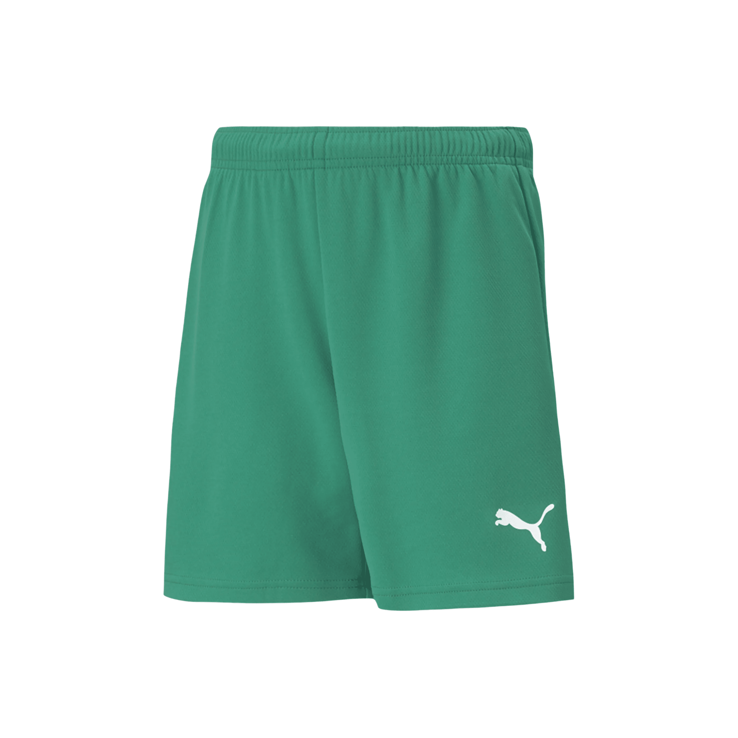 PUMA TeamRISE Shorts - Image 11