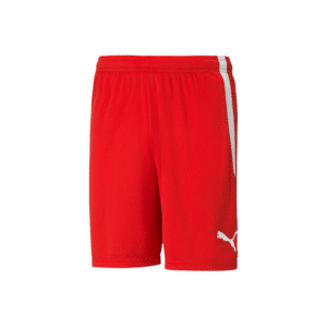 PUMA TeamLIGA Shorts - Image 3