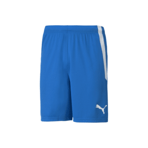 PUMA TeamLIGA Shorts - Image 4